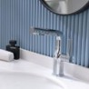 Miscelatore Lift Up & Down per rubinetto lavabo estraibile per bagno