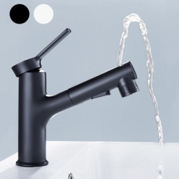 Estraibile Estraibile Spray...